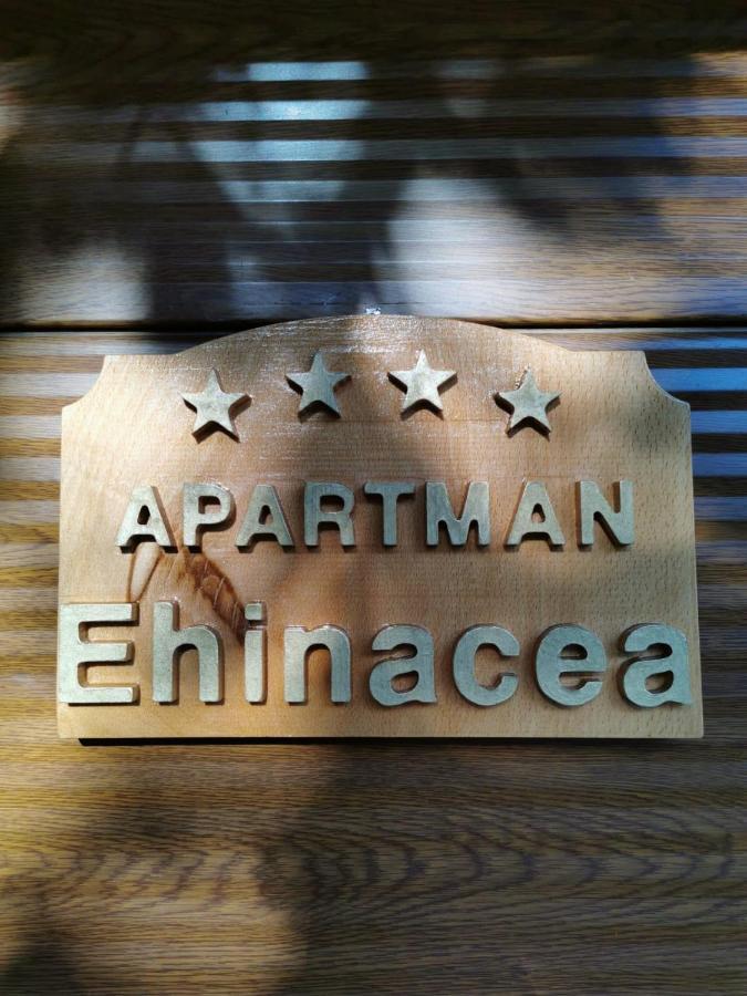 Apartamento Ehinacea Rtanj Exterior foto
